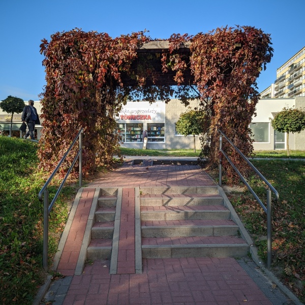 Pergola porośnięta pnączami przy jednej z alejek osiedla mieszkaniowego. Okres jesienny.