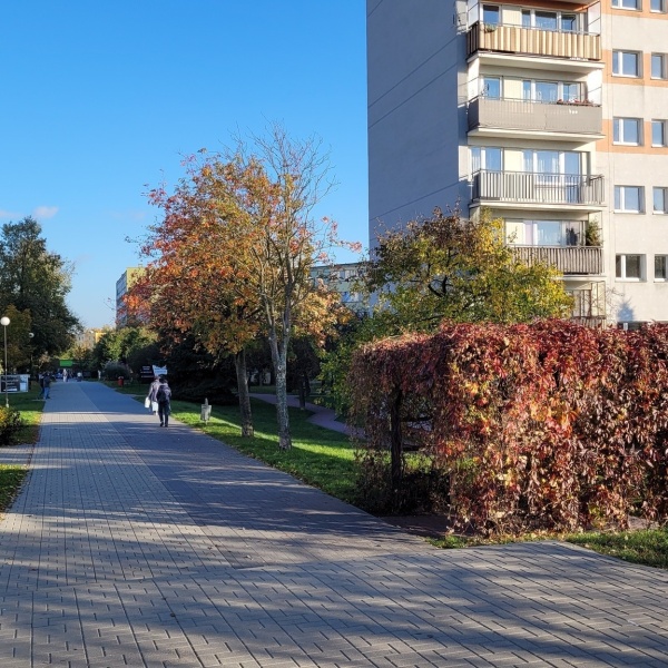 Pergola porośnięta pnączami przy jednej z alejek osiedla mieszkaniowego. Okres jesienny.