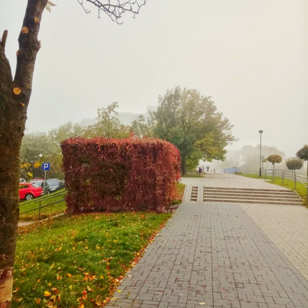 Pergola porośnięta pnączami przy jednej z alejek osiedla mieszkaniowego. Okres jesienny.