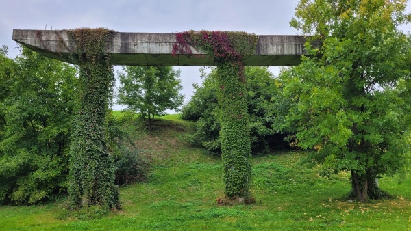 Pnącza porastające kolumny niedokończonego mostu. Widocczne drzewa oraz tereny z trawnikiem.