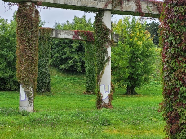 Pnącza porastające kolumny niedokończonego mostu. Widoczne drzewa oraz tereny trawnika.