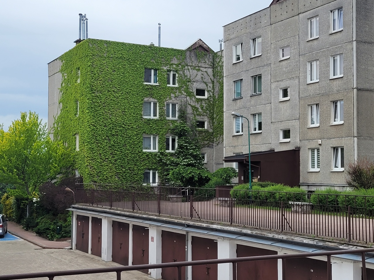 Widok na budynki mieszkalne i garaże jednego z osiedli. Wyróżnia się budynek pokryty zielonymi pnączami.