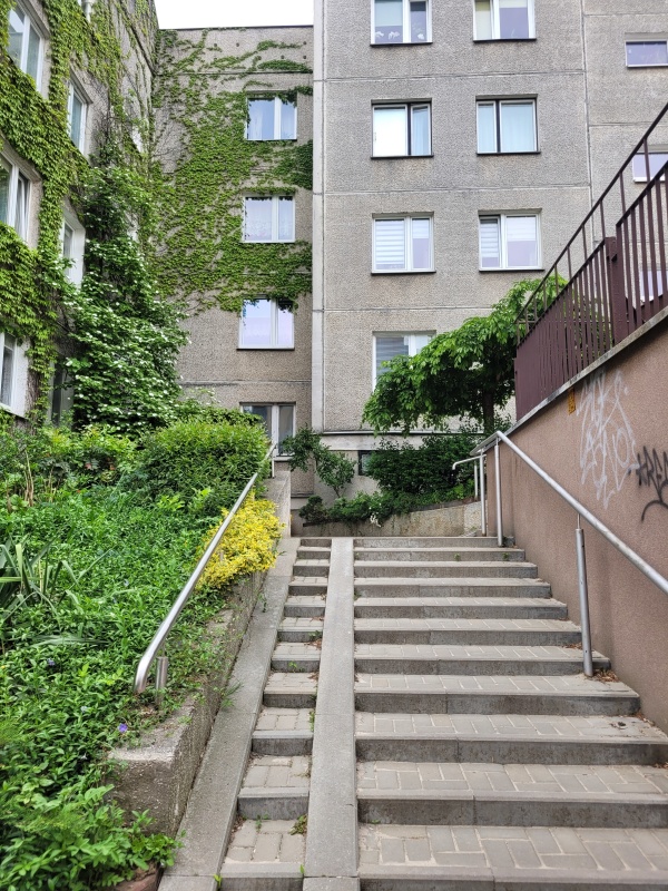 Schody prowadzące do klatek wyjściowych. Z jednej strony schodów zasadzona jest roślinność. W tle widać blok porośnięty pnączami.