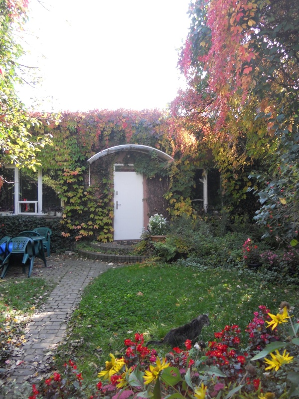 Widok na domek, porośnięty pnączami, od strony ogrodu. Widoczne wejście do domu, trawnik oraz kwiaty.
