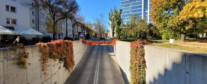 Wjazd na parking podziemny. Na betonowych ścianach zjazdu zasadzone są pnącza.