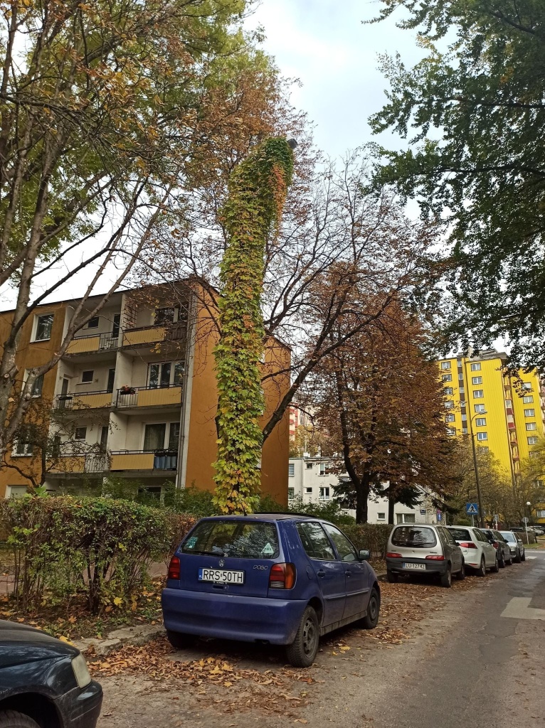 Latarnia porośnięta pnączami, usytuowana w przestrzeni pomiędzy blokami, osiedla mieszkaniowego.