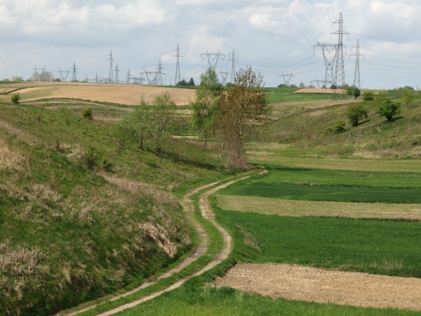 Krajobraz falistej rzeźby terenu oraz użytkowania rolniczego. Widoczna droga gruntowa.
