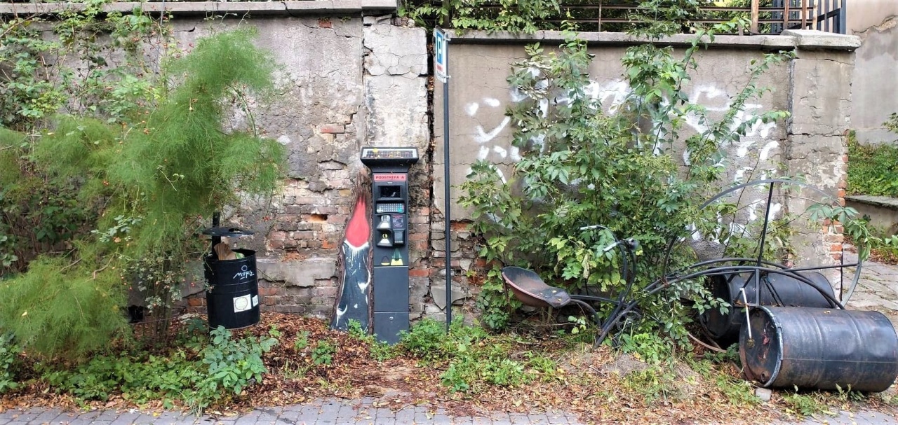 Widok na parkometr, który ustawiony jest na tle niszczejącego muru. Roślinność i śmieci obok niego tworzą jakby, postapokaliptyczną kompozycję.