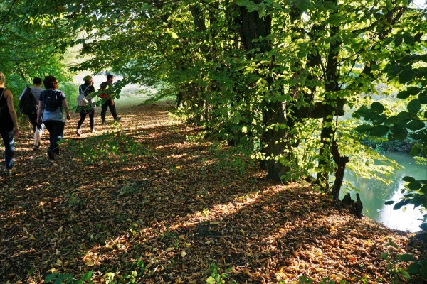 Droga nad rzeką. Widoczna wysoka skarpa i drzewa na niej rosnące.