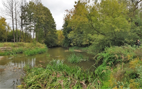 MeandryBystrzycyprzyNadbystrzyckiej12 Widok rzeki oraz naturalnej roślinności występujące w jej pobliżu.