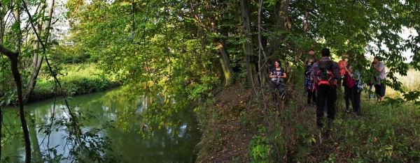 Przejście obok skarpy, nad rzeką, wśród jej naturalnej roślinności.