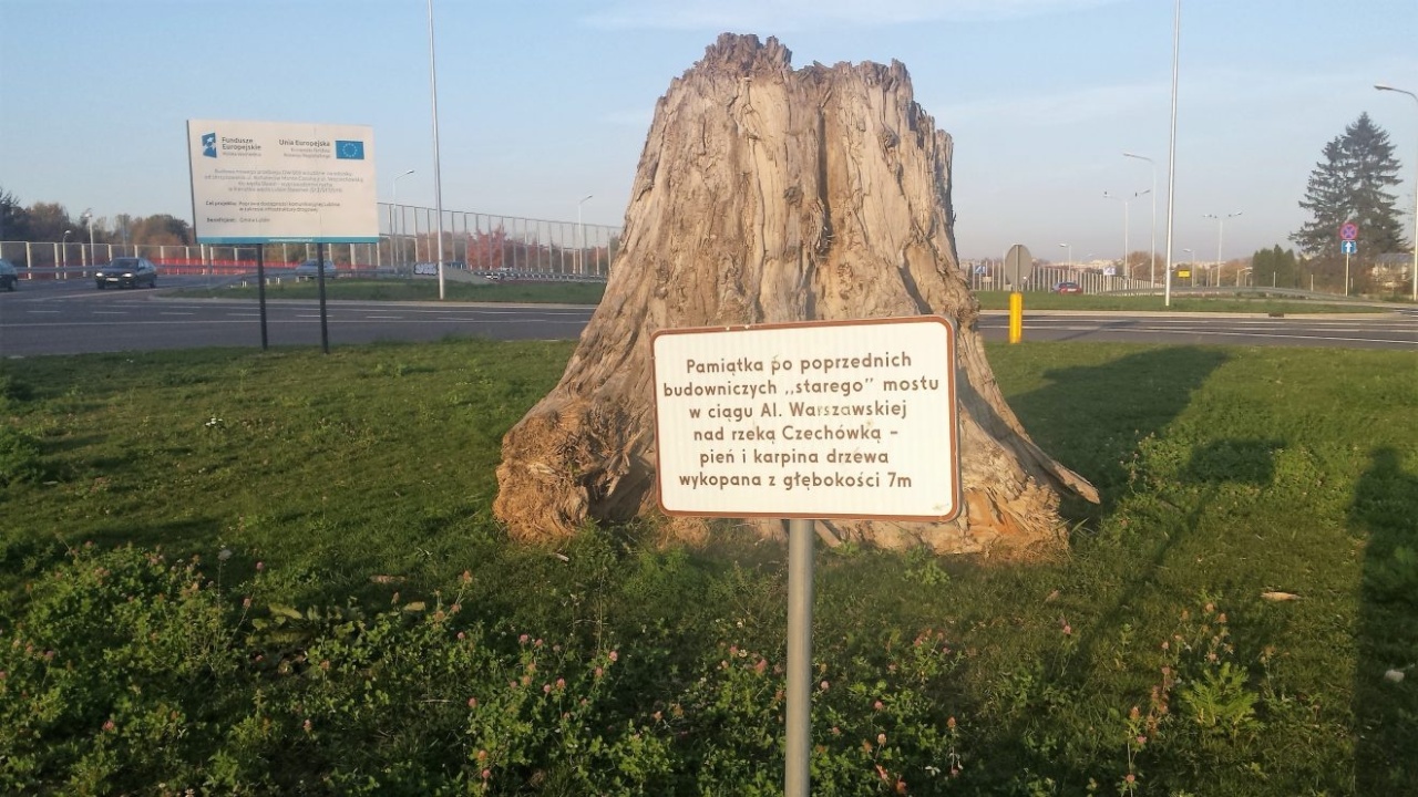 Pień starego drzewa wykopany podczas budowy ronda. Został on ustawiony na środku nowego ronda jako ozdoba.