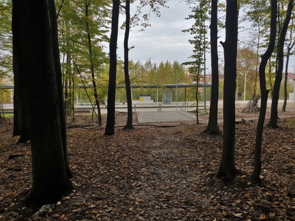 Widok na schody od strony lasu.