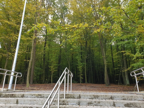 Schody z barierką prowadzące do lasu, obok dworca PKP.