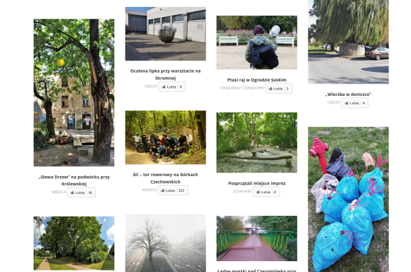 Zestawienie konkursowych fotografii, razem z opisem.