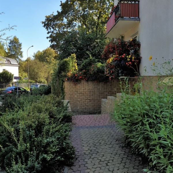 Nasadzenia roślinne przed jednym z bloków, osiedla mieszkaniowego.